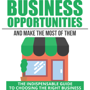 How To Identify Business Opportunities And Make The Most Of Them